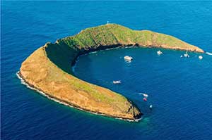 Molokini island snorkel tour.